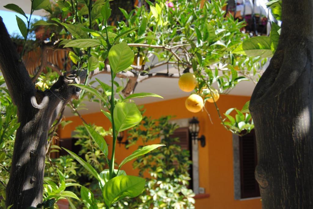 Residence Villa Il Glicine Taormina Exterior foto