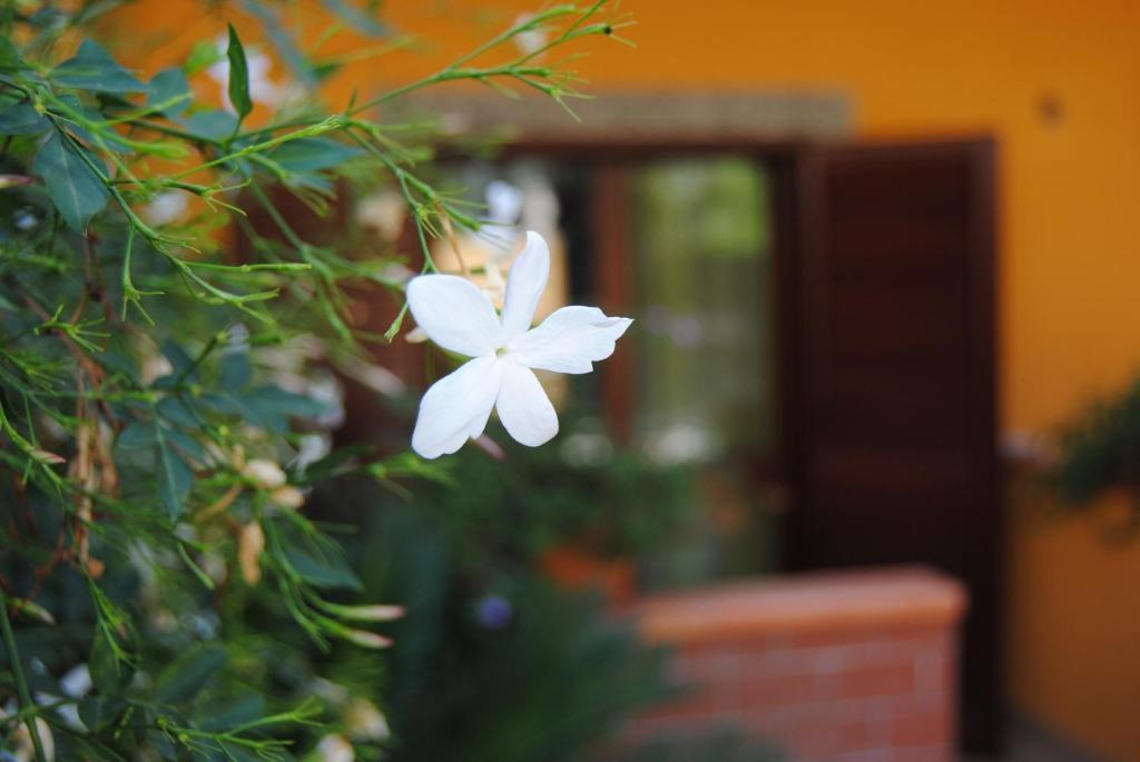 Residence Villa Il Glicine Taormina Habitación foto