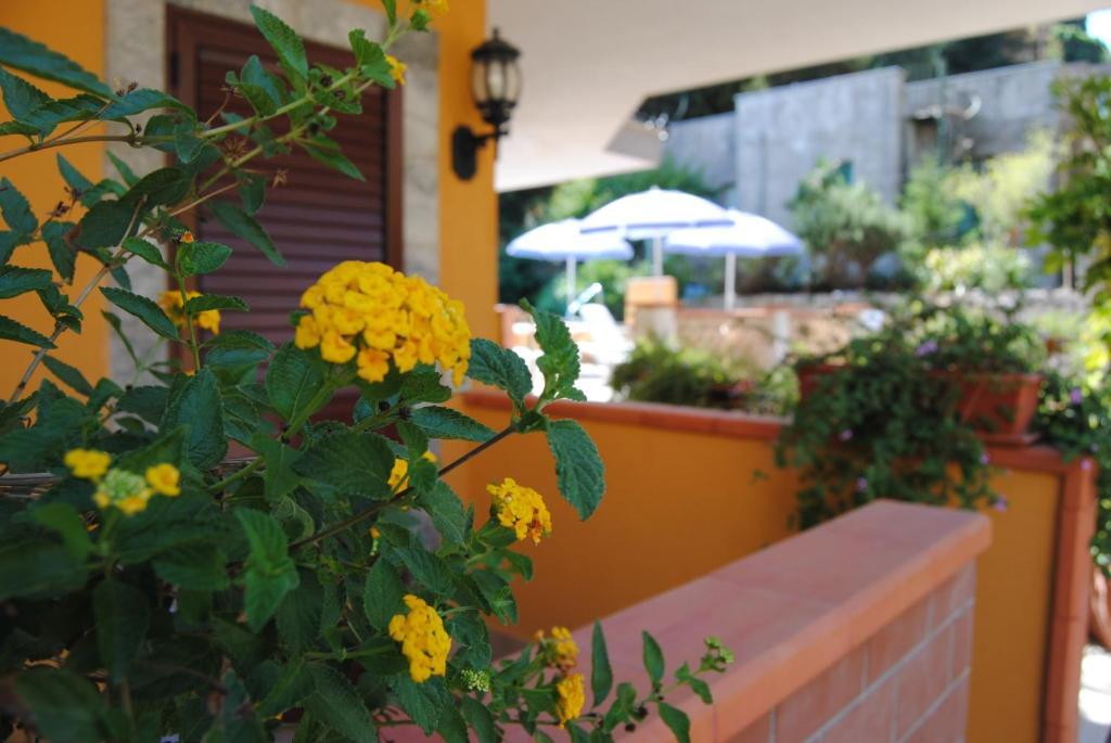 Residence Villa Il Glicine Taormina Habitación foto